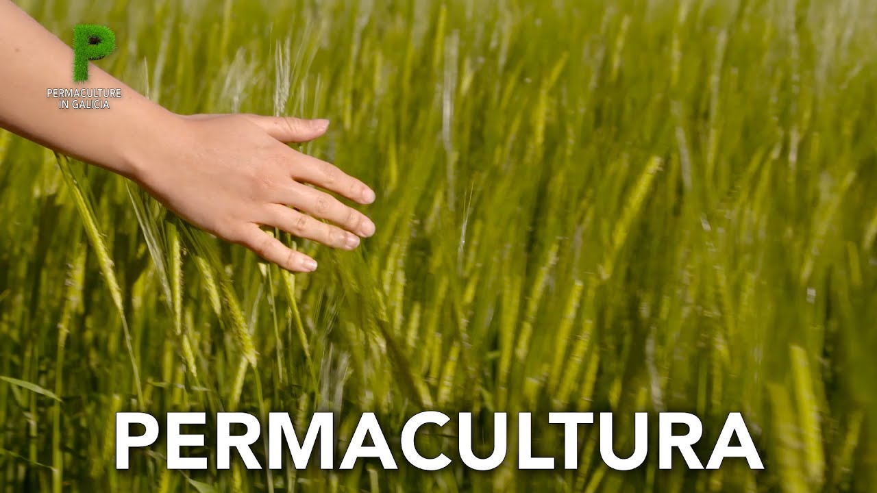 Permacultura qué es. Introducción a la Permacultura. Definición