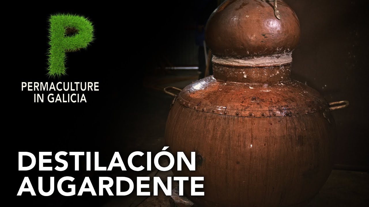 Destilación aguardiente gallego| 4K Castellano | Permacultura en Galicia
